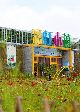 《彩虹小镇》：温暖治愈的青春恋曲，寻找爱的勇气，让你怦然心动！